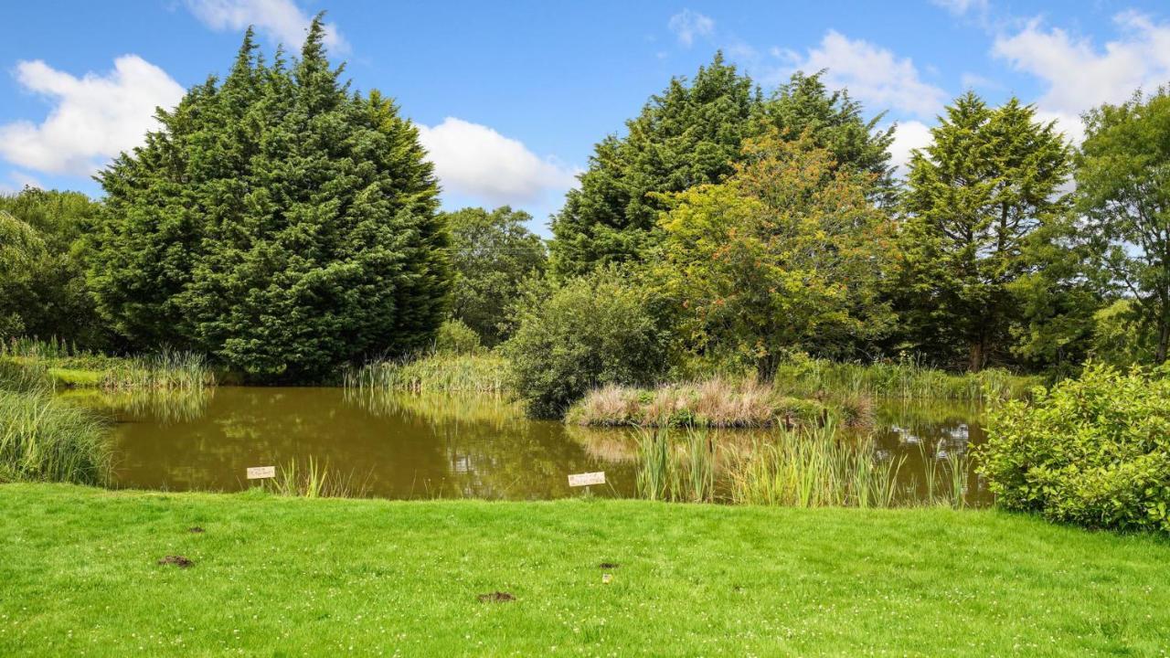 Сasa de vacaciones Mwsogl - Luxurious Family Fishing Near Aberaeron With Private Fishing *